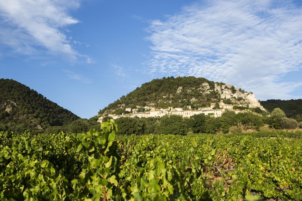 Hotellerie Du Domaine De Cabasse Séguret Exteriör bild